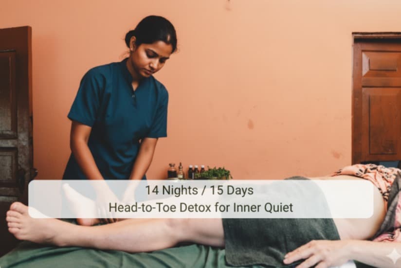 14-Night Ayurvedic Treatment for Tinnitus